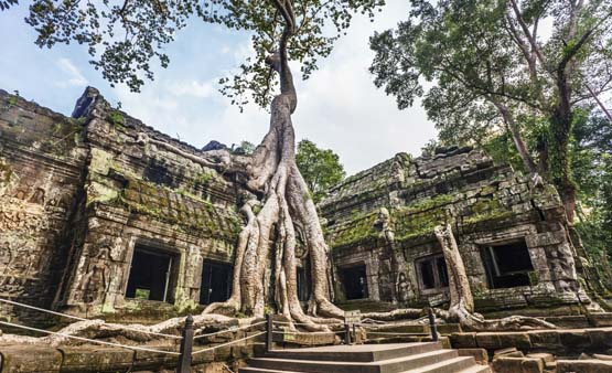 Ta Prohm